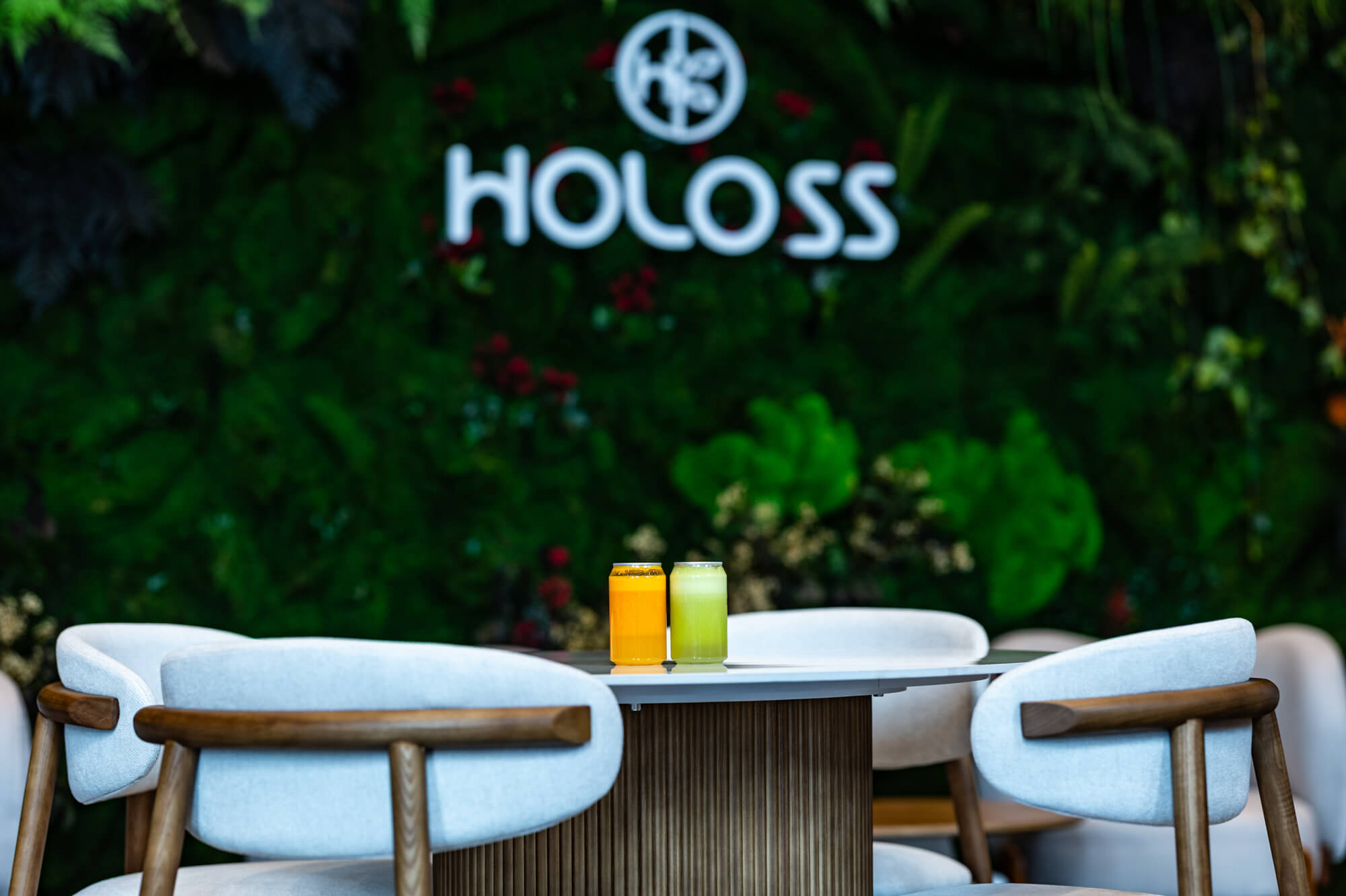 Holoss 11