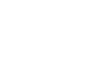 logo mic alb - holoss